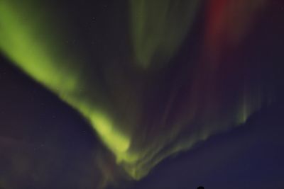 Polarlicht an der Jökulsárlón Gletscherlagune