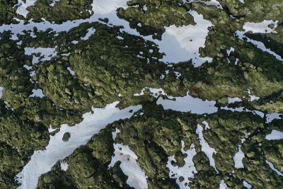 Entlang an Lavafeldern, bewachsen mit Moos