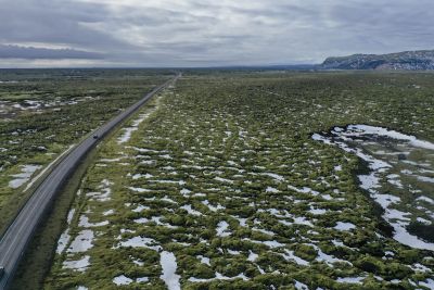 Entlang an Lavafeldern, bewachsen mit Moos
