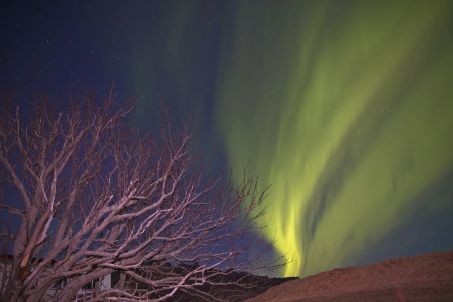 2023 0302 islandpolarlichter dxo 2023 0302 islandpolarlichter dxo